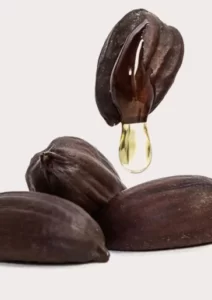 jojoba