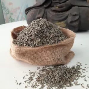 Lavanda