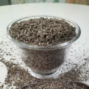 Salvia
