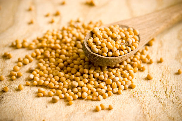 Semillas de Mostaza 100 gr