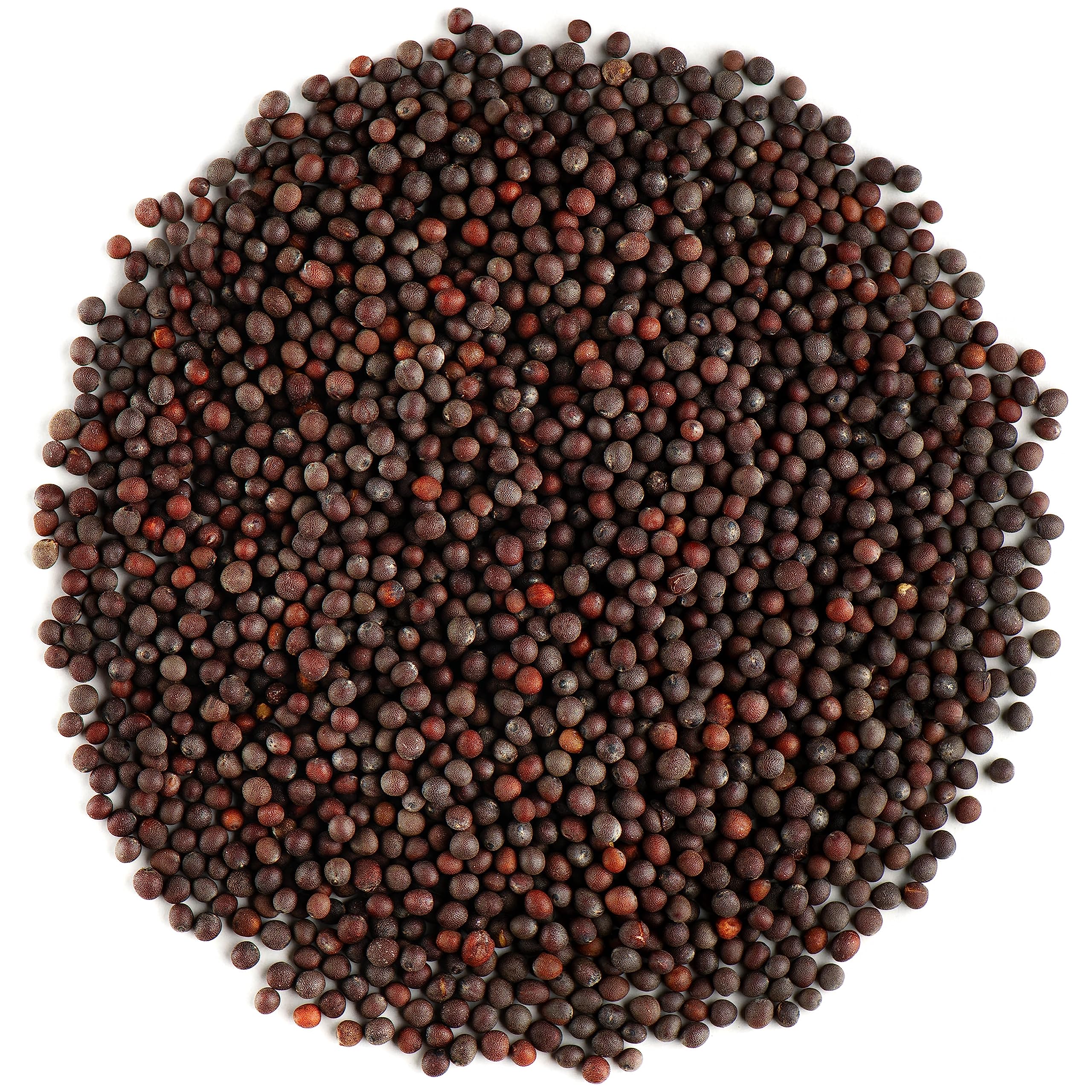 Semillas de Mostaza 100 gr - Imagen 2